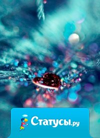 В жизни главное - найти себя, своё и своих...