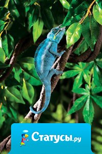 Если вы сами решили, что недостаточно хороши, то Жизнь не будет с вами спорить!!!