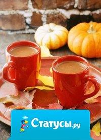 Я во всем узнаю осень, ее плавную поступь – в отражениях, ветре, запахе осенних цветов...