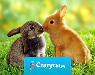 Весна — это время надежды. Неважно, через какие трудности вам пришлось пройти, бутоны и цветы дышат жизненной силой и вселяют в нас желание жить дальше. В этом прелесть весны. Чудесная пора года, не правда ли?