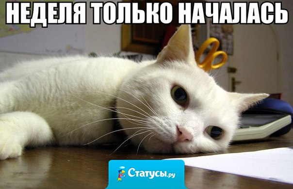 Неделя только началась, а я уже устал