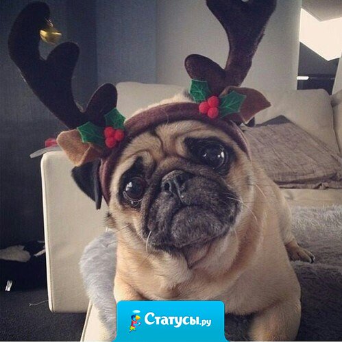 Что значит - у Санты достаточно оленей?