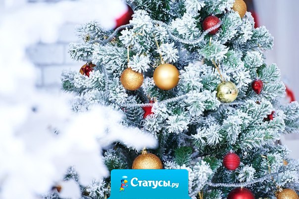 С приходом нового года нам свойственно строить планы, надеяться на лучшее, мечтать. По традиции мы загадываем желания. Хочется пожелать, чтобы заветные мечты и предновогодние ожидания исполнились! Будьте счастливыми, пусть любовь наполняет ваши сердца!