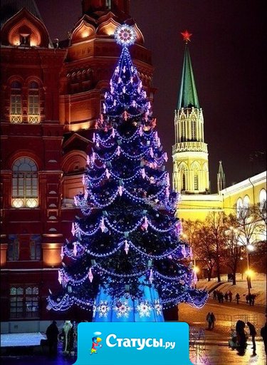 Пусть уходит старый год, унося с собой несчастья, а новый больше принесет здоровья, радости и счастья!