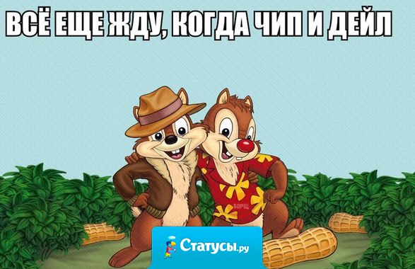 Все еще жду, когда Чип и Дейл придут на помощ