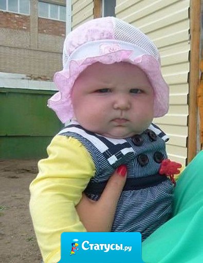 Тещами не становятся, тещами рождаются 