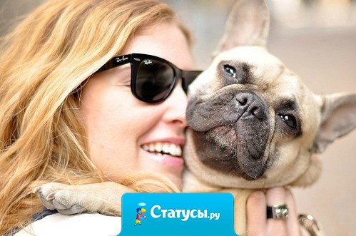 Четвероногий друг, лучше двуногих двух.