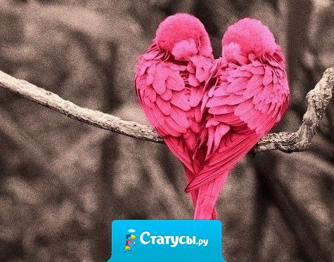 Мы всегда притягиваем именно того в свою жизнь, которым являемся по сути сами.