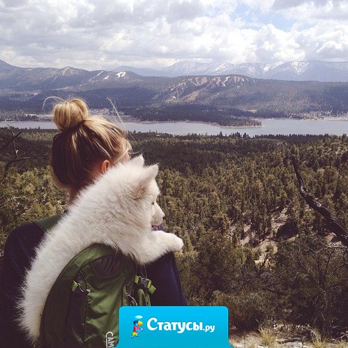 В чужих дорогах — нет твоей. В твоей — есть все дороги.