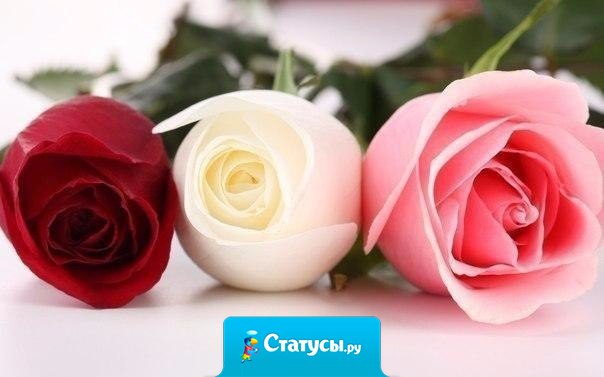 Важные люди у меня в мыслях. Любимые - в сердце. Дорогие - в молитвах. А кому-то повезло трижды!...