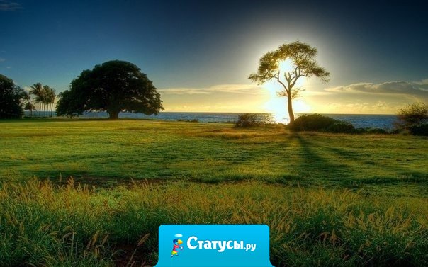 Один из самых полезных жизненных навыков - это умение быстро забывать все плохое: не зацикливаться на неприятностях, не жить обидами, не упиваться раздражением, не таить злобу. Не стоит тащить разный хлам в свою душу.