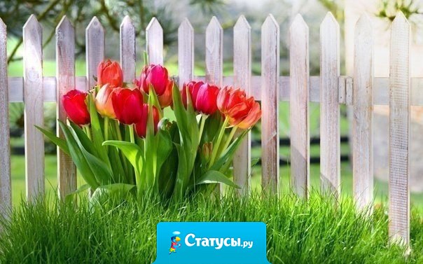 Чем больше в нашей душе солнца, тем ярче становится жизнь вокруг...