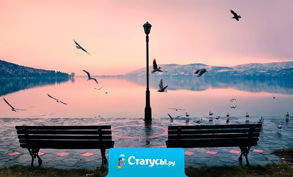 Покой — это когда тебя не тревожат лишние мысли. Когда ты не беспокоишься, что завтра может произойти то, чего тебе не хочется. Когда тебе не нужно идти туда, куда ты не хочешь. Когда то, что ты делаешь, — это и есть радость. Это когда ты перестаешь анализировать окружающий мир и понимаешь — он просто есть. И ты — просто часть него. И на этом все вопросы замолкают. И вот если этот покой внутри найден, то можно и другим дарить это спокойное, умиротворённое, радостное состояние своей души.