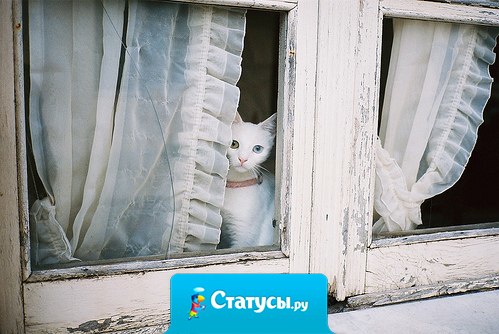 Чем больше надежд питаю, тем больше разочаровываюсь, при этом все равно не перестаю надеяться.