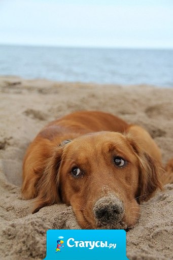 Наши сомнения — это наши предатели. Они заставляют нас терять то, что мы, возможно, могли бы выиграть, если бы не боялись попробовать.