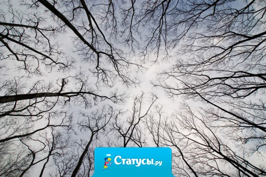 В жизни есть не только тлен и печаль.