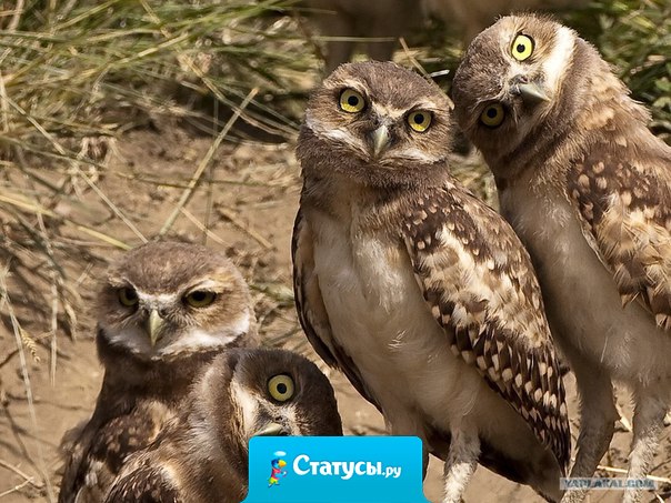 Так выглядят мои подруги, когда я говорю, что завязала с алкоголем!!