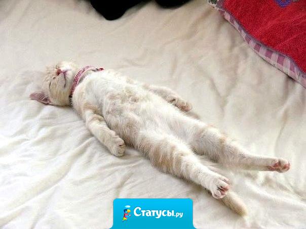 Если придя домой после работы одновременно снять лифчик и обувь на каблуках, то можно умереть от удовольствия…