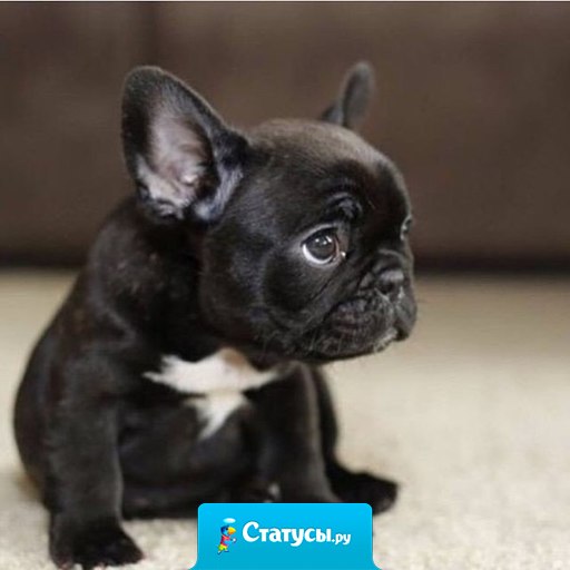 Мое лицо, когда мой муж спрашивает меня, куда я потратила столько много денег.