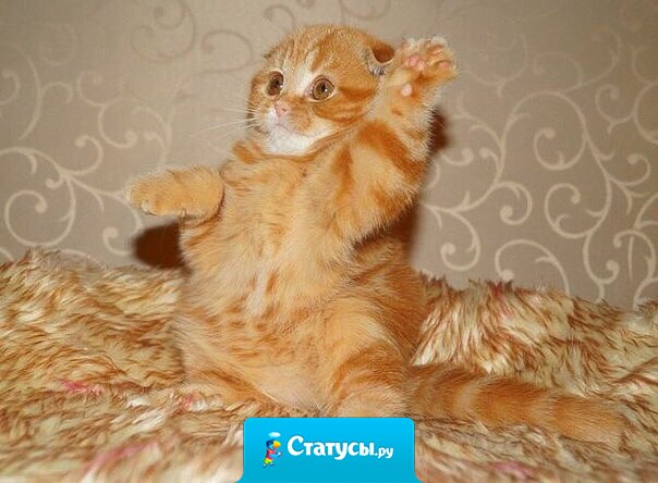 - Кто устал и хочет на ручки?