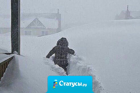 Дошла до работы только благодаря ветру и бешеному желанию жить.