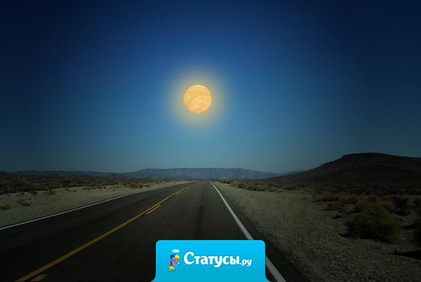 Где бы ни был каждый из нас, мы всегда будем видеть одну луну.