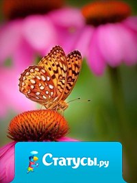 Есть только один успех — потратить свою жизнь так, как ты хочешь и с кем хочешь.