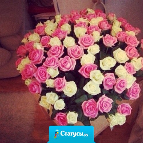 Цветы — лучшее средство для примирения с девочками.