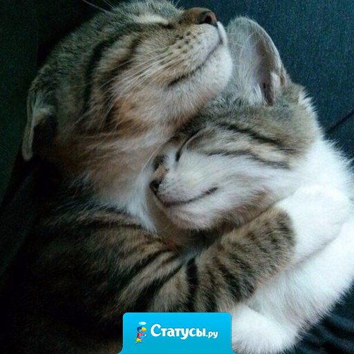 Нам с теми хорошо, кто мир наш понимает.