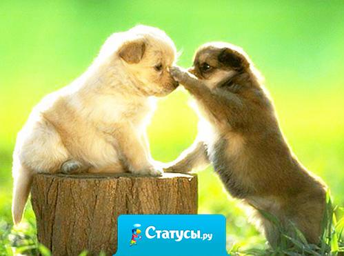 Ты когда-нибудь спросишь, что я люблю больше: тебя или жизнь? Жизнь - отвечу я, ты развернешься и уйдешь, а я так и не успею тебе сказать, что ты и есть моя жизнь...