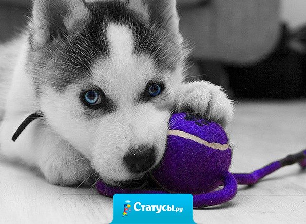 Когда люди переходят определённый рубеж и им доводится пережить большее, чем то, к чему они были готовы, с ними случается, происходят разительные перемены и они начинают смотреть на мир другими глазами.