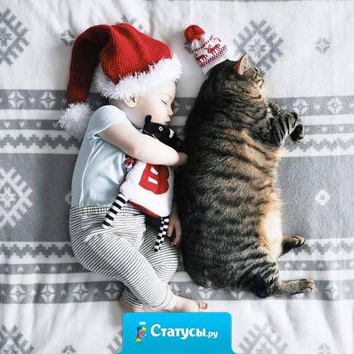 А я хочу малыша от тебя. Он будет самым красивым на свете, ведь будет похож на нас. Будет топать своими маленькими ножками по нашей квартире и глядя на него, мы будем понимать, в чем смысл жизни и настоящее счастье.