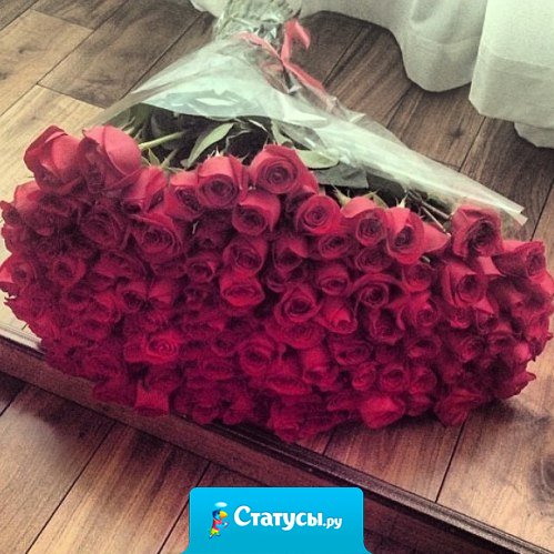 Все девушки любят цветы - это факт. Намекаем девочки, намекаем.