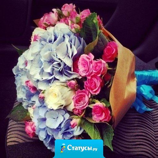 Любимым девушкам дарят цветы, а не слезы.