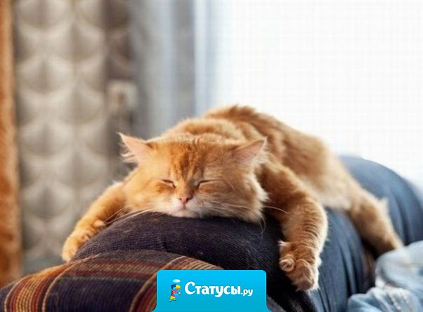 Раньше работали с 8-ми до 5-ти, два выходных и праздники были и деньги. А сейчас вкалываешь с утра до ночи, ни денег, ни выходных, ни праздников.