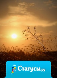 Природа создает столько чудес, чтобы мы могли ими любоваться.