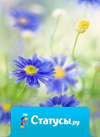 Живи, сохраняя покой. Придет весна, и цветы распустятся сами.