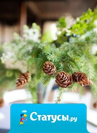 Новый день — это еще один шанс. Шанс, чтобы изменить свою жизнь, исправить свой путь. Шанс стать лучше, чем вчера. Благодари Бога за каждый новый день в твоей жизни…