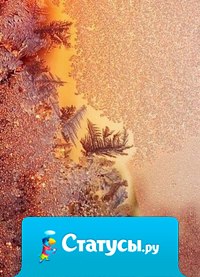 Счастье – это умение видеть необыкновенное в обыкновенных вещах...