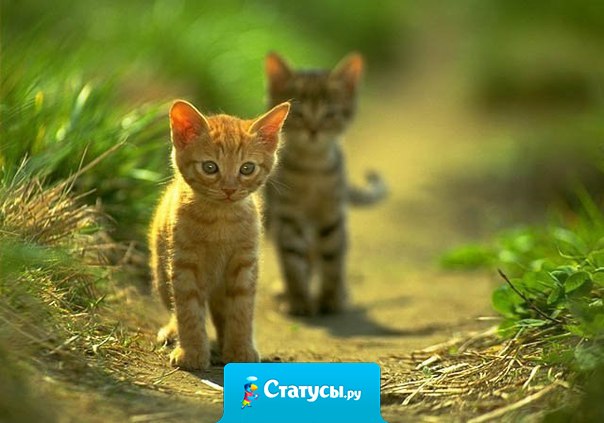 Господи, убери из моей жизни людей, которые ничего хорошего в неё не приносят, а только умеют портить настроение. пусть у них все будет хорошо, но только подальше от меня.