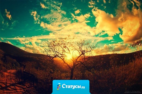 День кончился. Что было в нем? Не знаю, пролетел, как птица. Он был обыкновенным днем, А все-таки - не повторится.