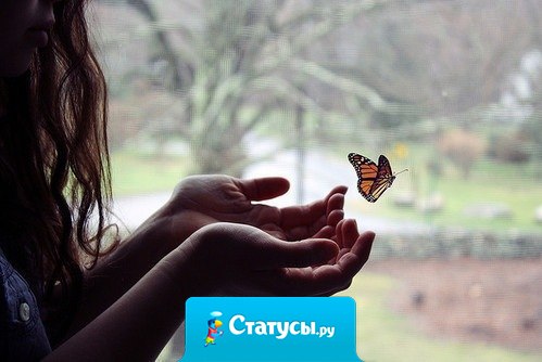 Одиночество и свобода всегда ходят рядом и грань между ними очень тонка. Идеальными становятся только те отношения, которые избавляют от первого и не лишают второго.