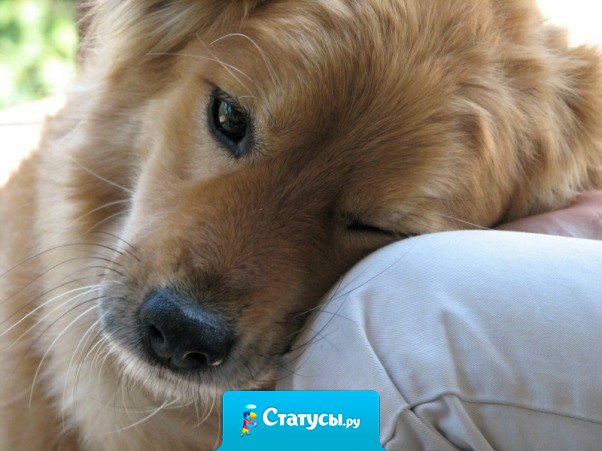 Мы бываем естественны только с теми, кого мы любим.