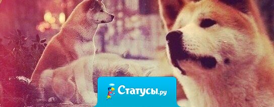 Он ждал всю жизнь, а мы порой и дня подождать не можем.