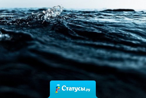 Я все равно ни о чем не жалею - хотя бы потому, что это бессмысленно. 