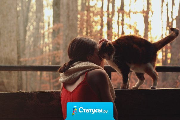 Всякий раз, когда стоишь перед выбором, будь внимателен: не выбирай то, что удобно, комфортно, респектабельно, признано обществом, почётно. Выбирай то, что находит отклик в твоём сердце. Выбирай то, что ты хотел бы сделать, невзирая ни на какие последствия.