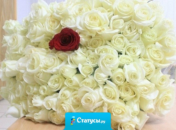 Мальчик подарил девочке 101 розу (100 настоящих и 1 одну искусственную) и сказал: 