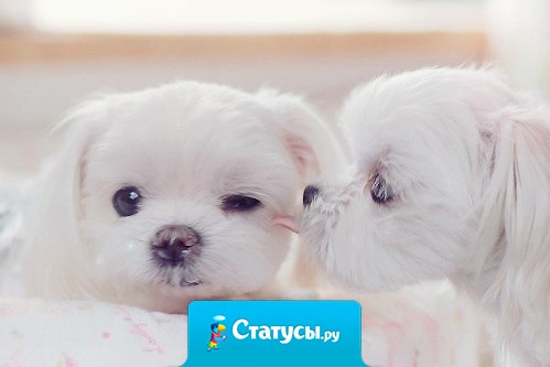 А ты давай там не грузись, попей чайку и улыбнись.