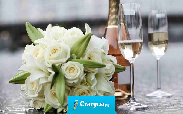 Всегда держите бутылку шампанского в холодильнике для особых случаев — иногда особым случаем может быть то, что у вас есть бутылка шампанского в холодильнике!