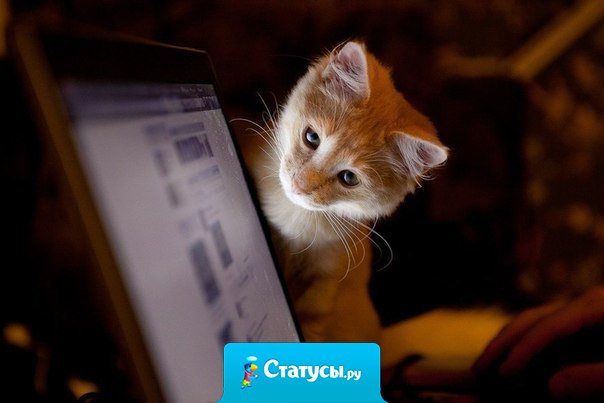 А ведь приятно так, только подумаешь о человеке и он тебе сразу звонит или пишет, потому что чувствует...